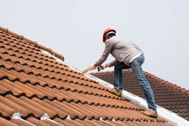Best Roof Coating and Sealing  in Boyd, TX